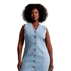 Abercrombie Denim Button-Down Dress